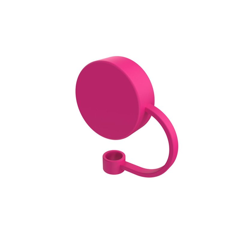 Silicone Straw Topper - 2
