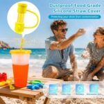 Straw and Straw Cover - 2